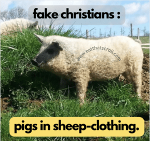 Lukewarm Christian.  Pigs in Sheep clothing